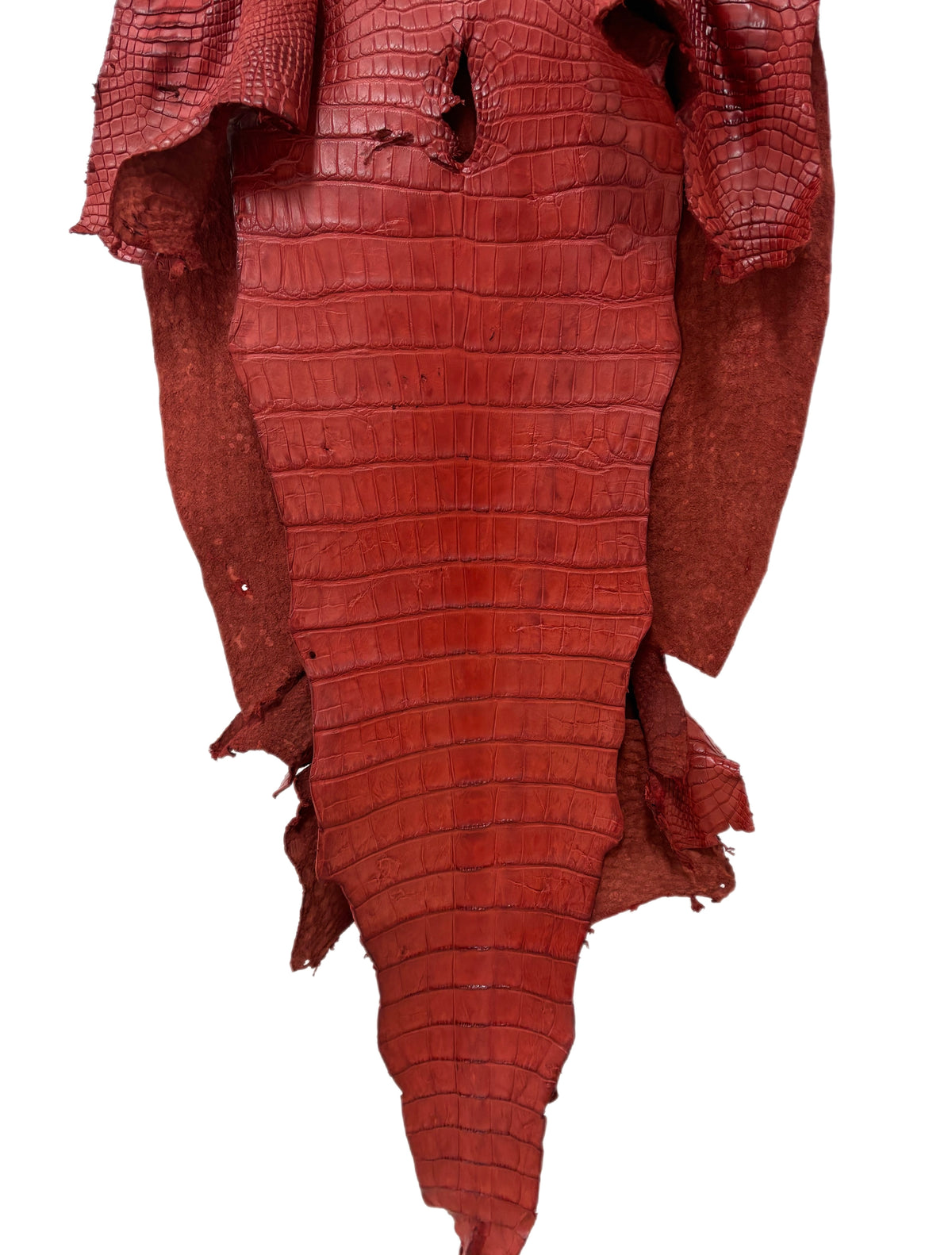 53 cm Grade 4/5 Marziale Matte Wild American Alligator Leather - Tag: LA23-0023737