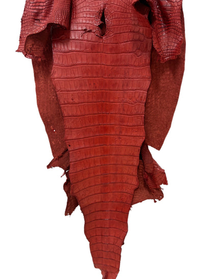 53 cm Grade 4/5 Marziale Matte Wild American Alligator Leather - Tag: LA23-0023737