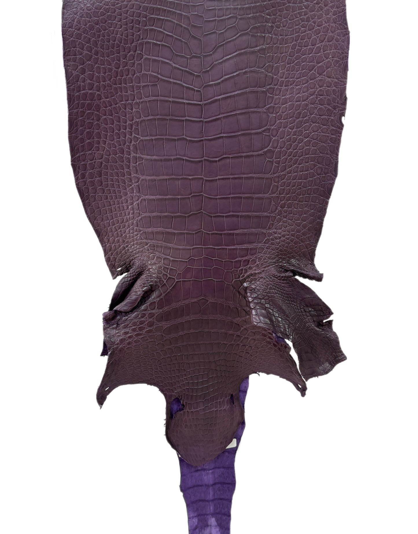 38 cm Grade 2/3 Aubergine Matte Wild American Alligator Leather - Tag: LA23-0033904