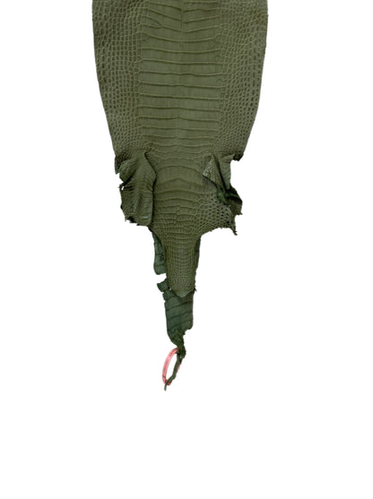 New Color! 25 cm Grade 1/2 Sage Green Matte Farm-Raised American Alligator Leather - Tag: LA24-0228862