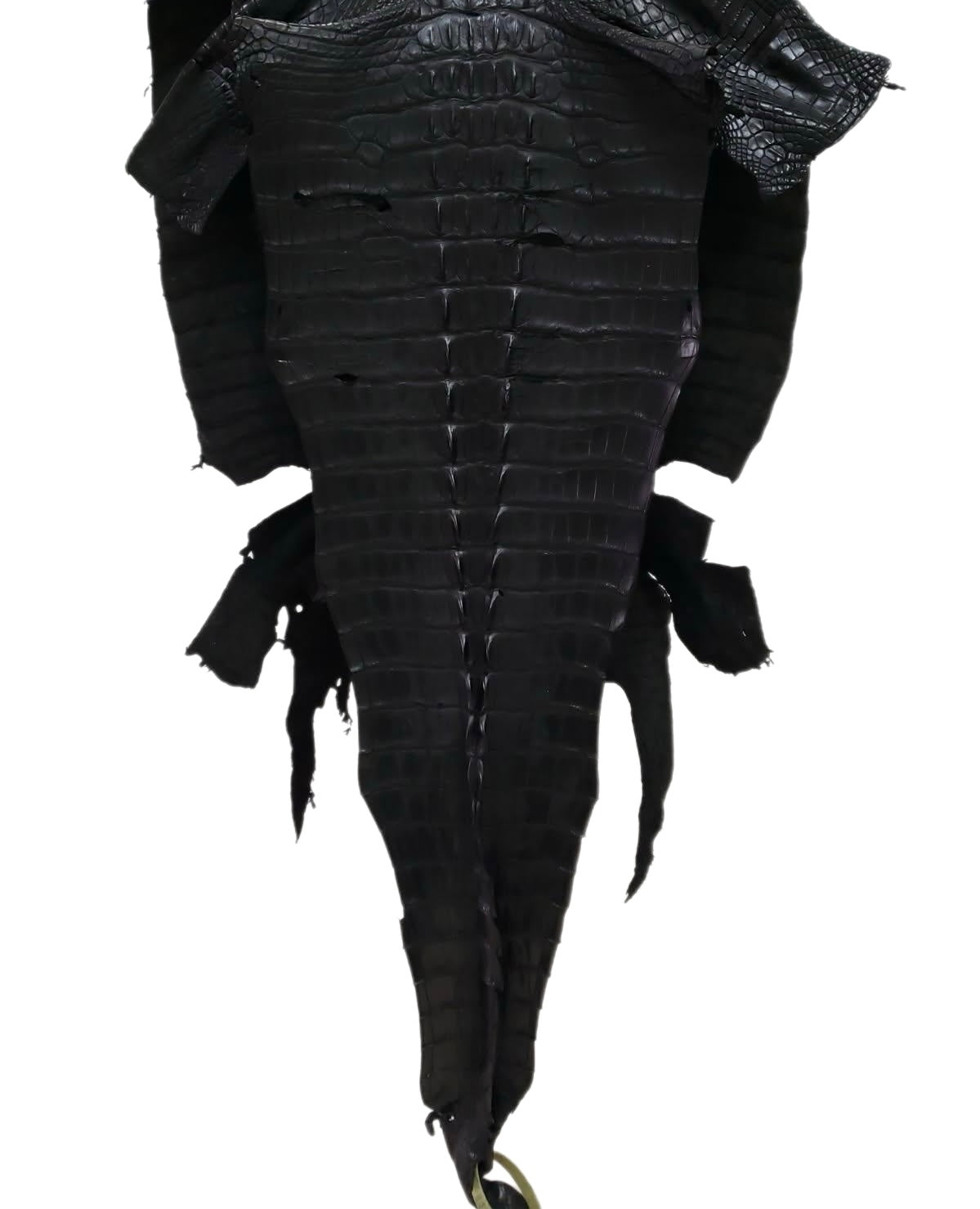 44 cm Grade 3/4 Black Matte Wild American Alligator Hornback Leather - Tag: LA13-0027536