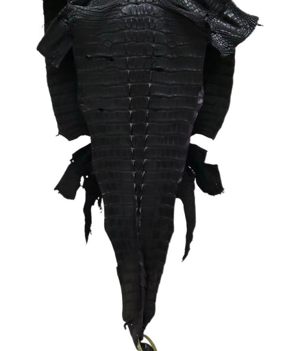 44 cm Grade 3/4 Black Matte Wild American Alligator Hornback Leather - Tag: LA13-0027536