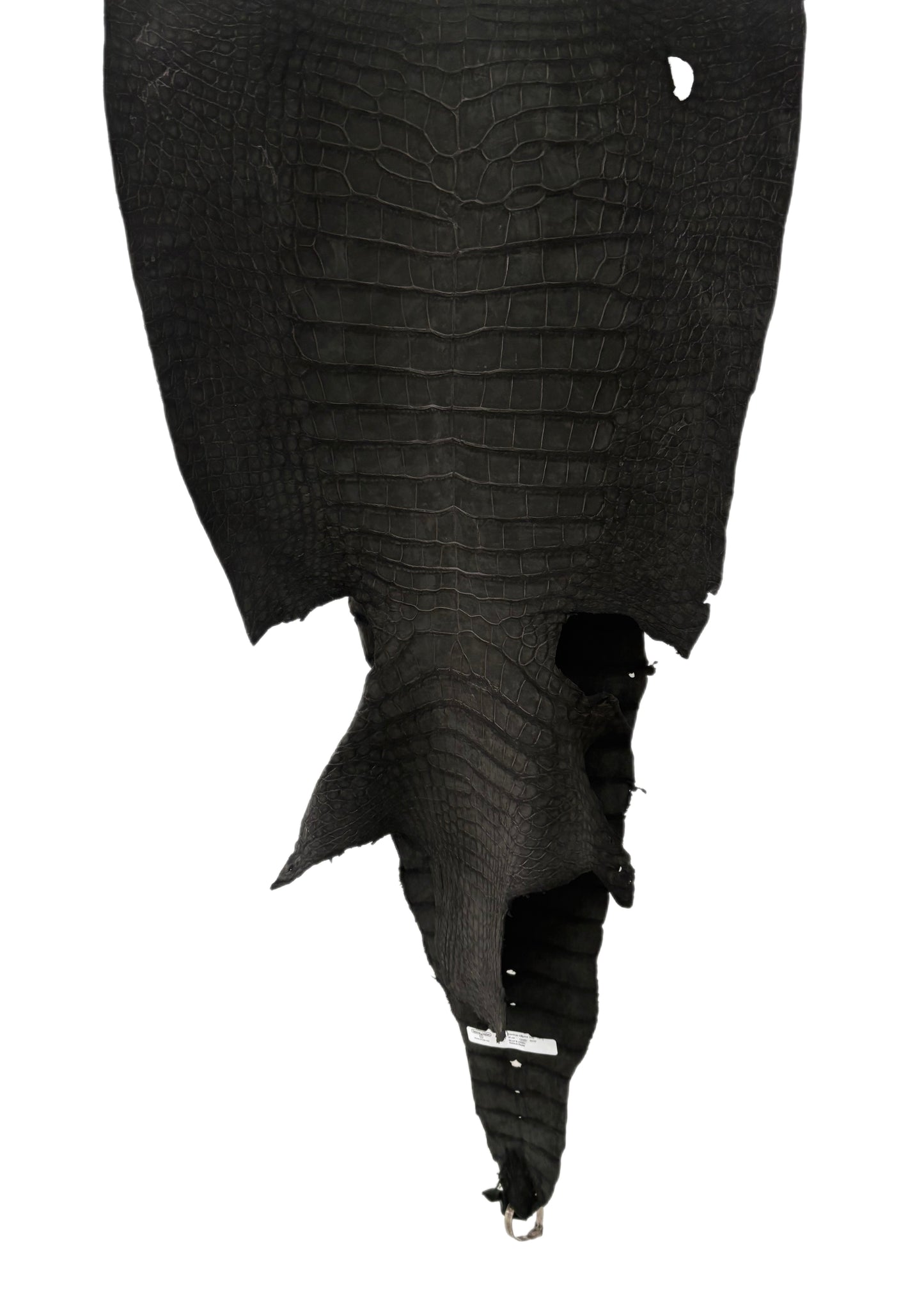 49 cm Grade 3/4 Black Nubuck Wild American Alligator Leather - Tag: LA23-0029666