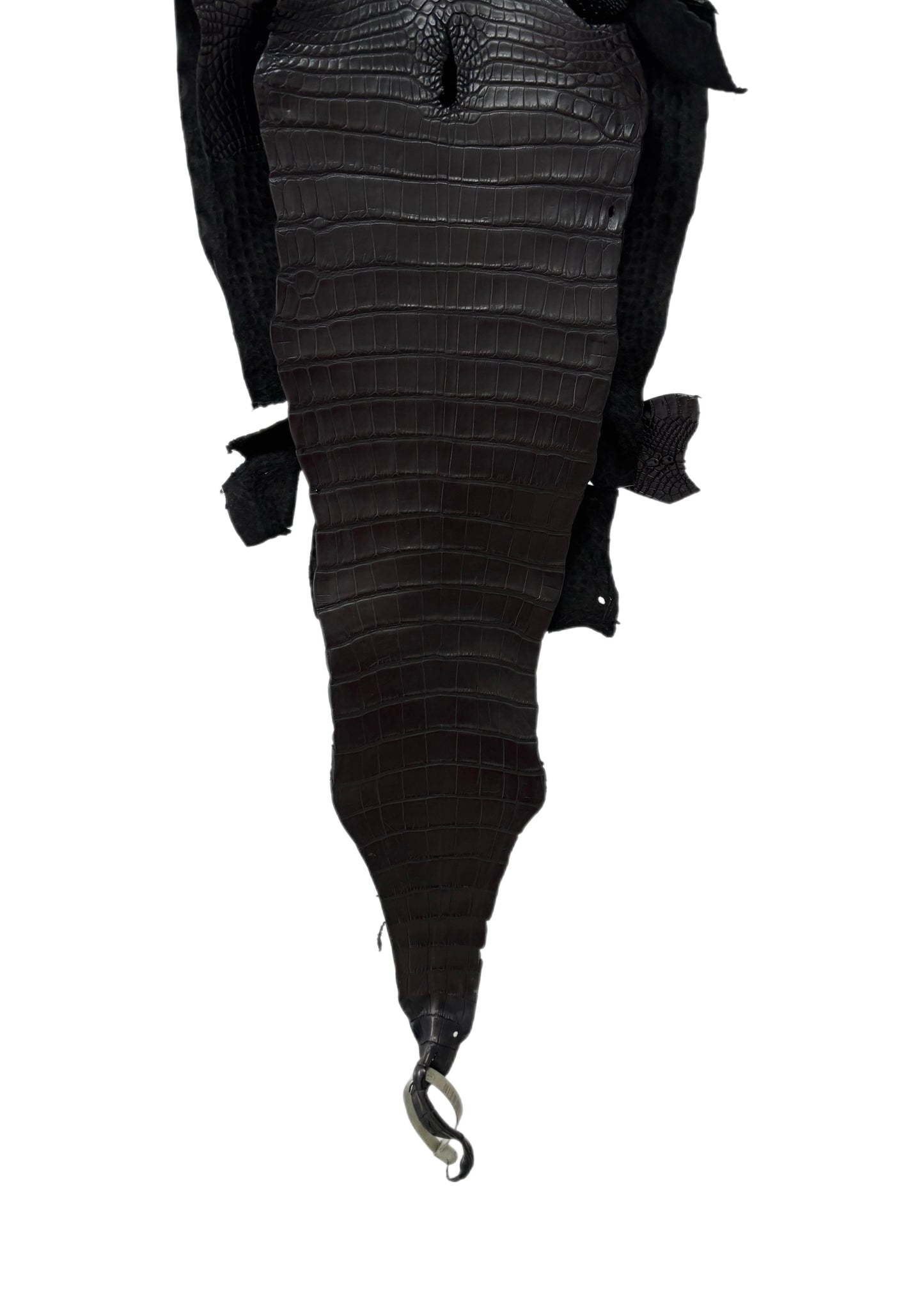 27 cm Grade 1/2 Black Matte Farm-Raised American Alligator Leather - Tag: FL17-0035895