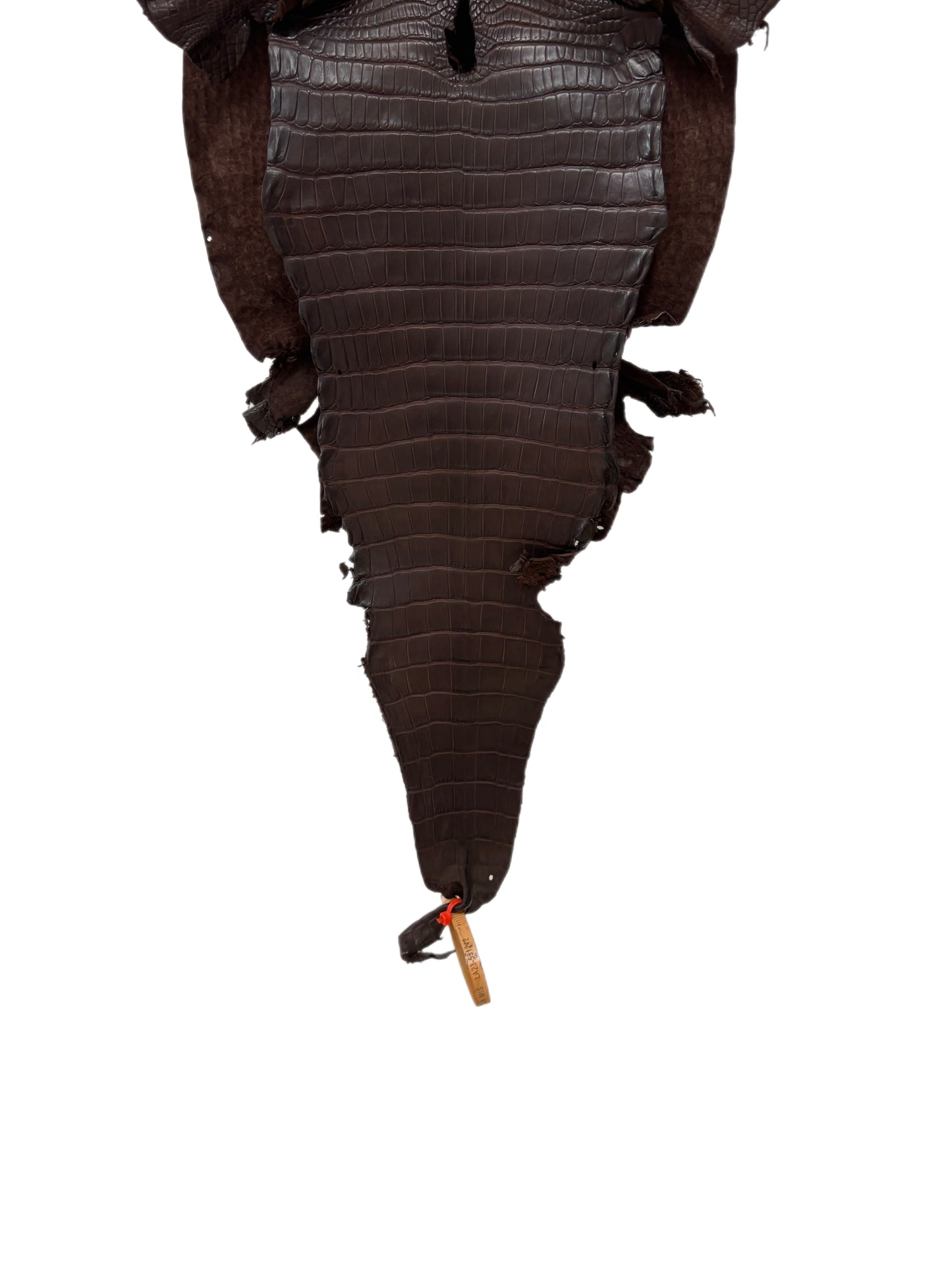 30 cm Grade 1/2 Chocolate Matte Farm-Raised American Alligator Leather - Tag: LA23-0531212