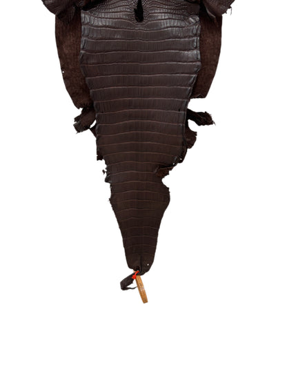 30 cm Grade 1/2 Chocolate Matte Farm-Raised American Alligator Leather - Tag: LA23-0531212