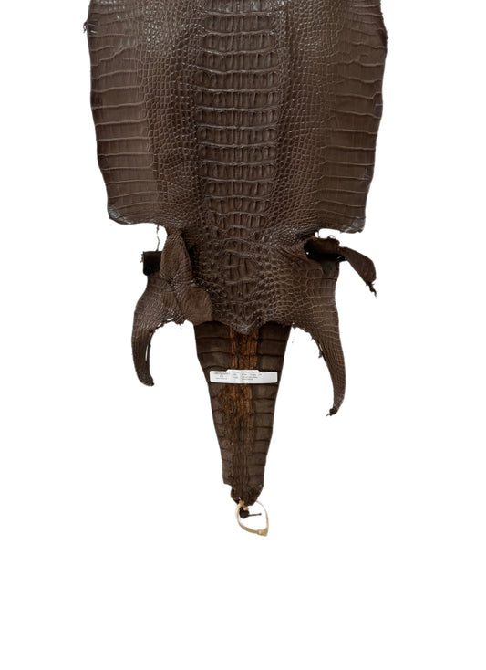 35 cm Grade 1/2 Nicotine Matte Farm-Raised American Alligator Leather - Tag: LA23-0377137