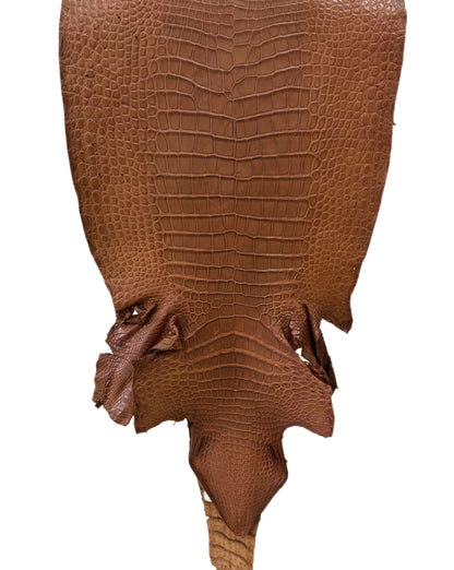 41 cm Grade 3/4 Cigar Matte Wild American Alligator Leather - Tag: LA22-0021062