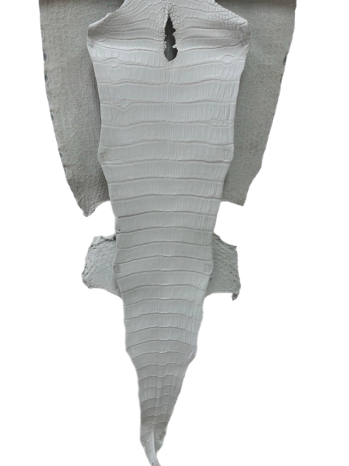 40 cm Grade 1/2 White Matte Wild American Alligator Leather - Tag: LA18-0037821
