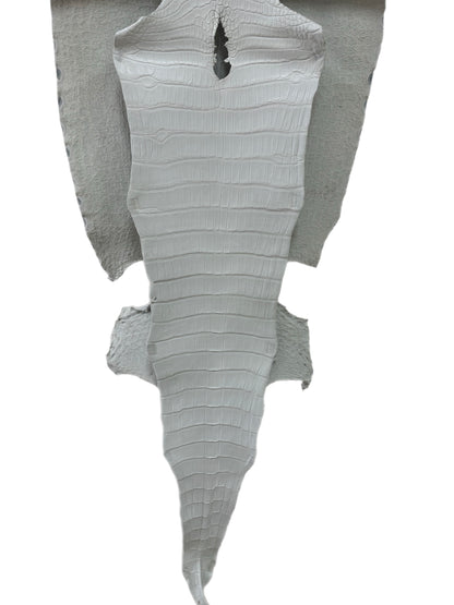 40 cm Grade 1/2 White Matte Wild American Alligator Leather - Tag: LA18-0037821