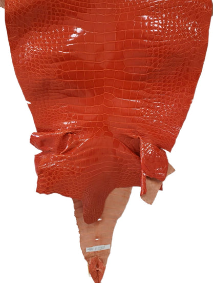 52 cm Grade 2/3 Mandarina Glazed Farm-Raised American Alligator Leather - Tag: FL14-0004018