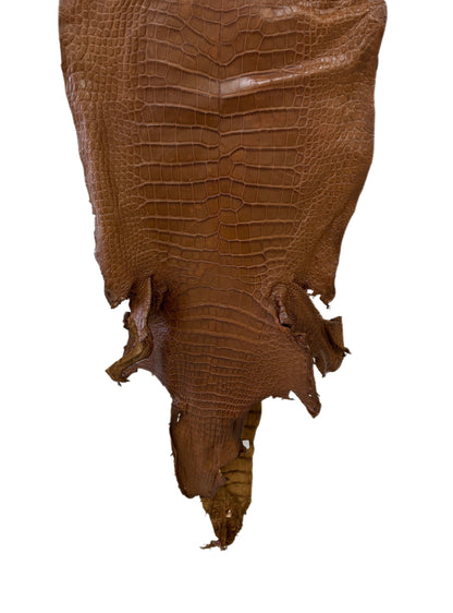 44 cm Grade 3/4 Kango Tabac Matte Wild American Alligator Leather - Tag: LA23-0024493