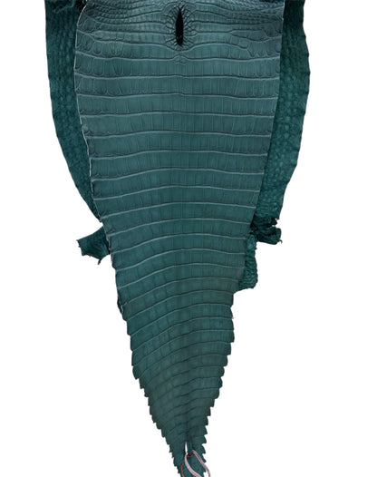 40 cm Grade 2/3 Teal Matte Farm-Raised American Alligator Leather - Tag: FL18-0052045