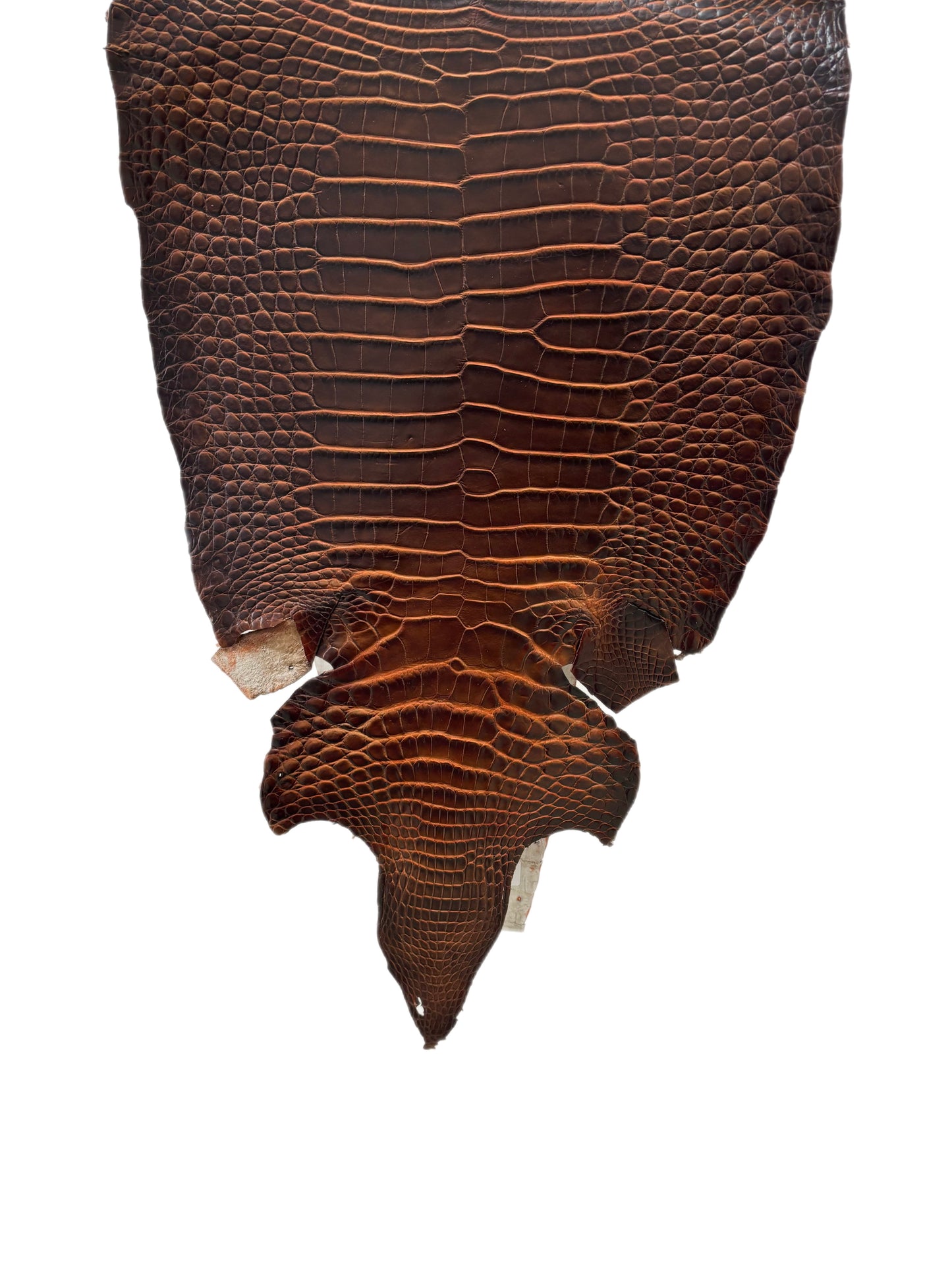 37 cm Grade 1/2 Sienna Matte Wild American Alligator Leather - Tag: ESRE-0050798