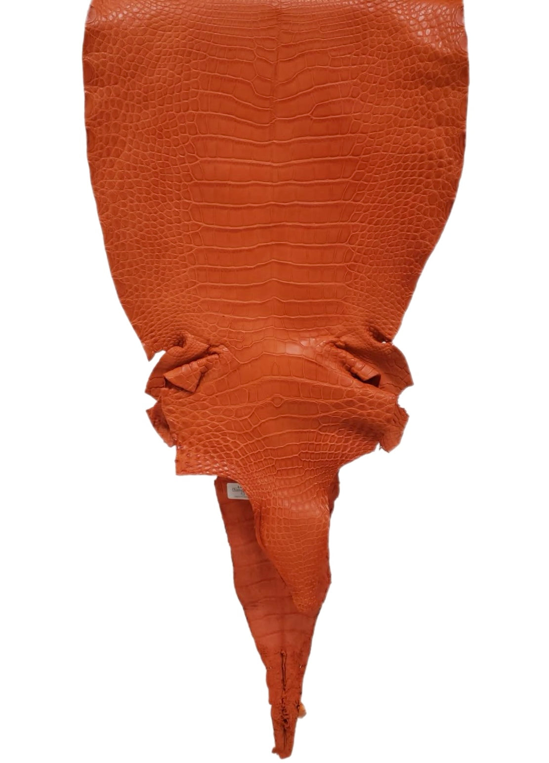 32 cm Grade 2/3 Orange Primavera Matte Farm-Raised American Alligator Leather - Tag: LA23-0531569