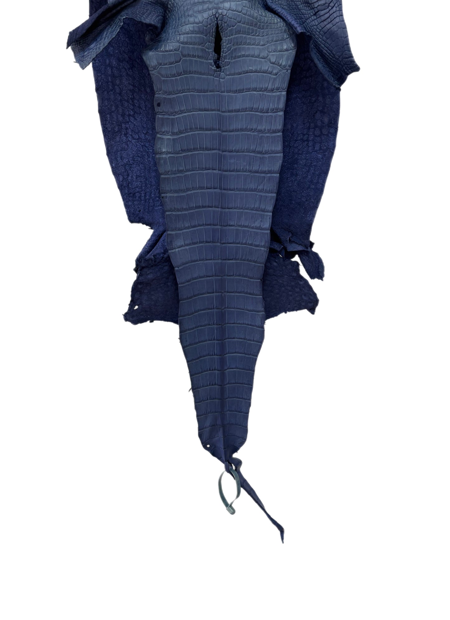 34 cm Grade 1/2 Indigo Matte Wild American Alligator Leather - Tag: LA16-0030909