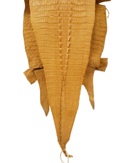 28 cm Grade 2/3 Buttercup Matte Farm-Raised American Alligator Hornback Leather - Tag: LA99-0137779