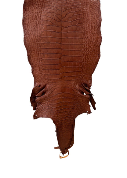 35 cm Grade 3/4 Rustic Cognac Desert Wild American Alligator Leather - Tag: LA23-0049478
