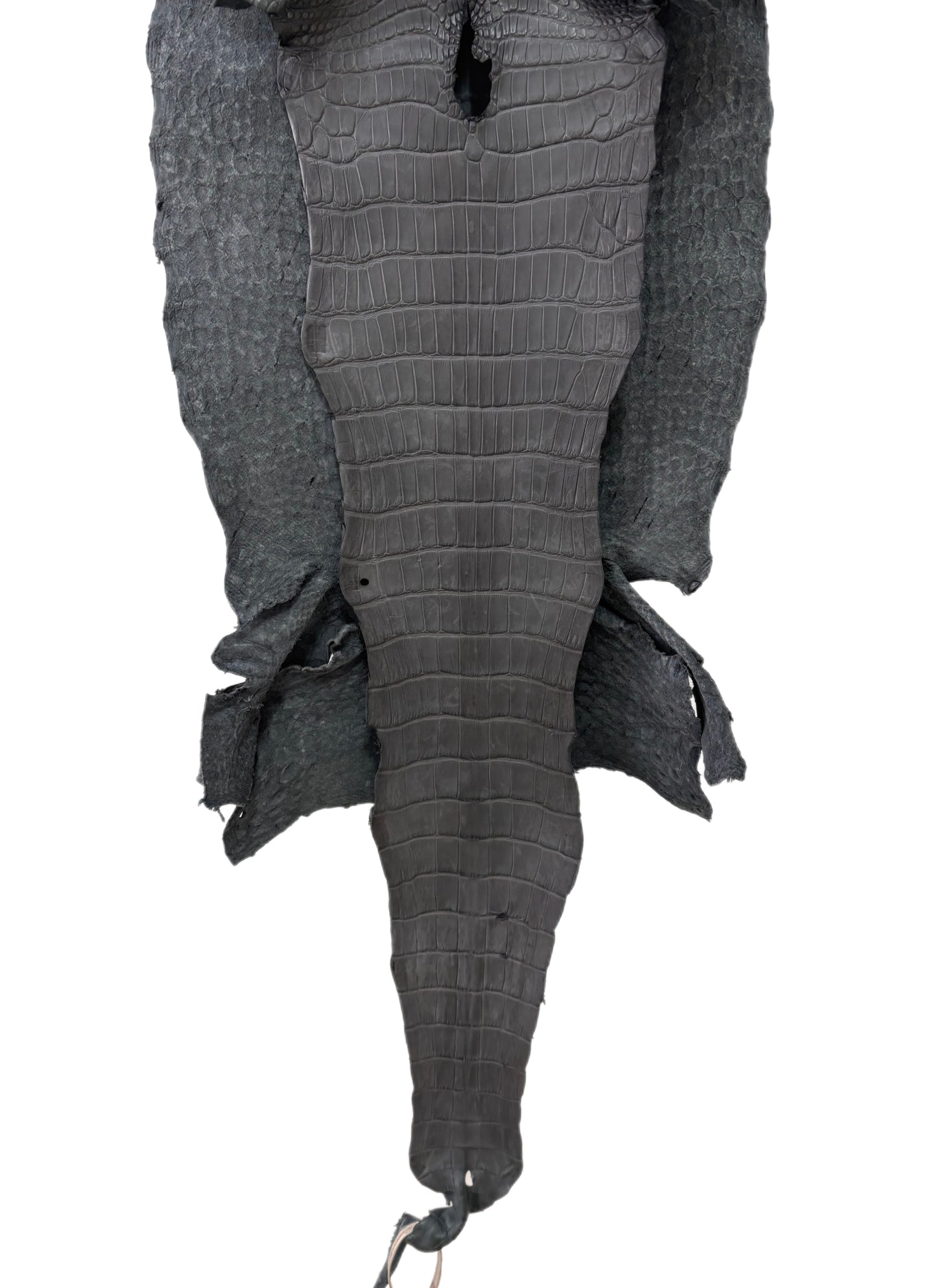 39 cm Grade 3/4 Serpentine Grey Matte Wild American Alligator Leather - Tag: TX23-0016553