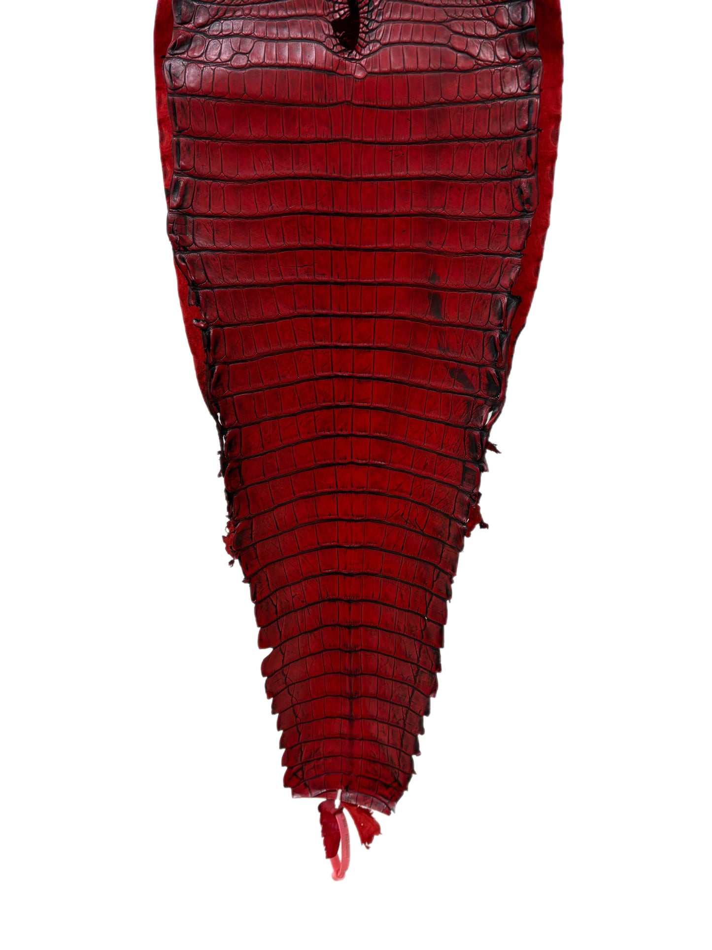 30 cm Grade 1/2 Candy Apple Red Antique Farm-raised American Alligator Leather - Tag: FL21-0024093