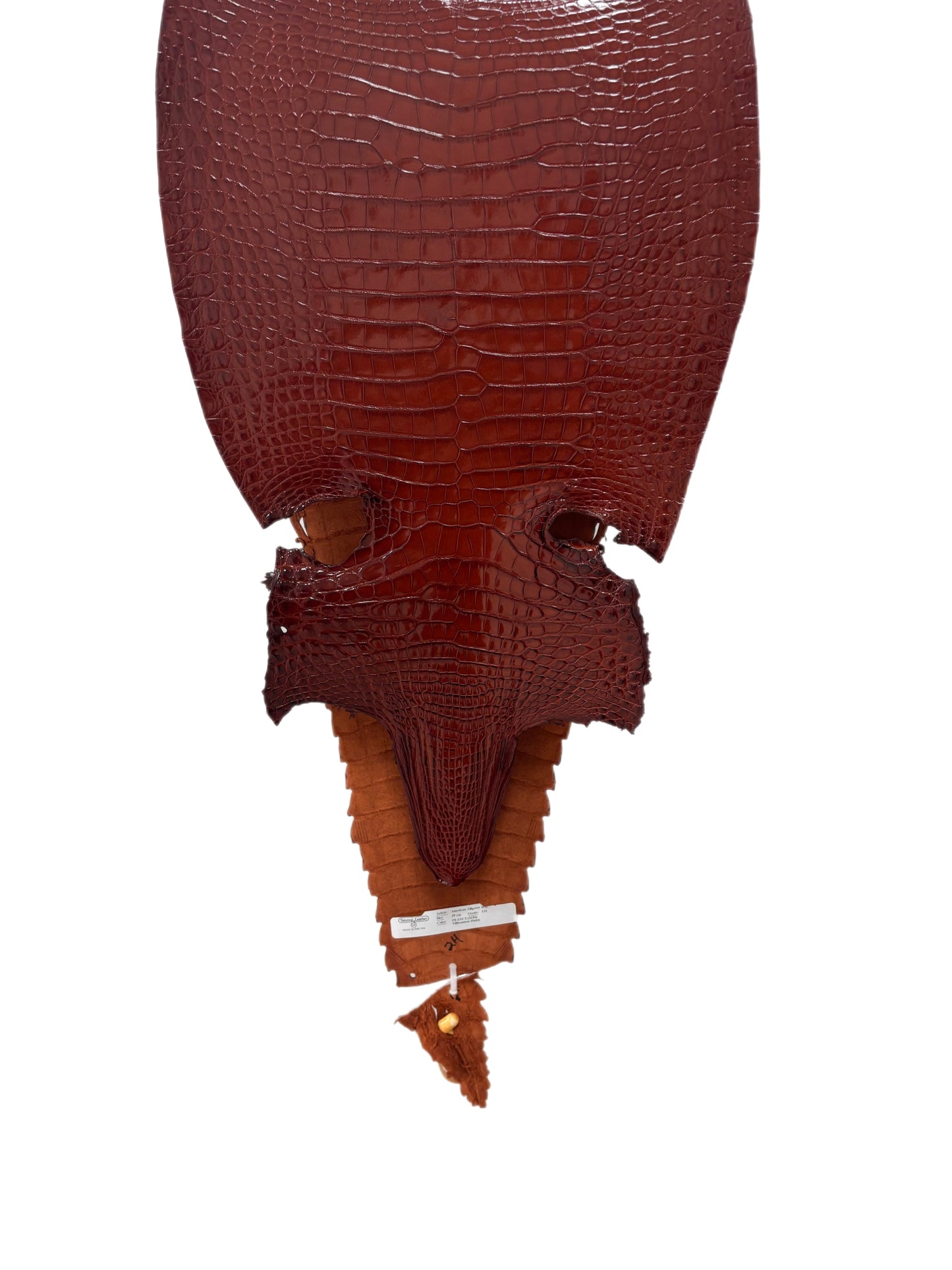 35 cm Grade 1/2 Peanut Millennium Farm-Raised American Alligator Leather - Tag: FL17-0052963