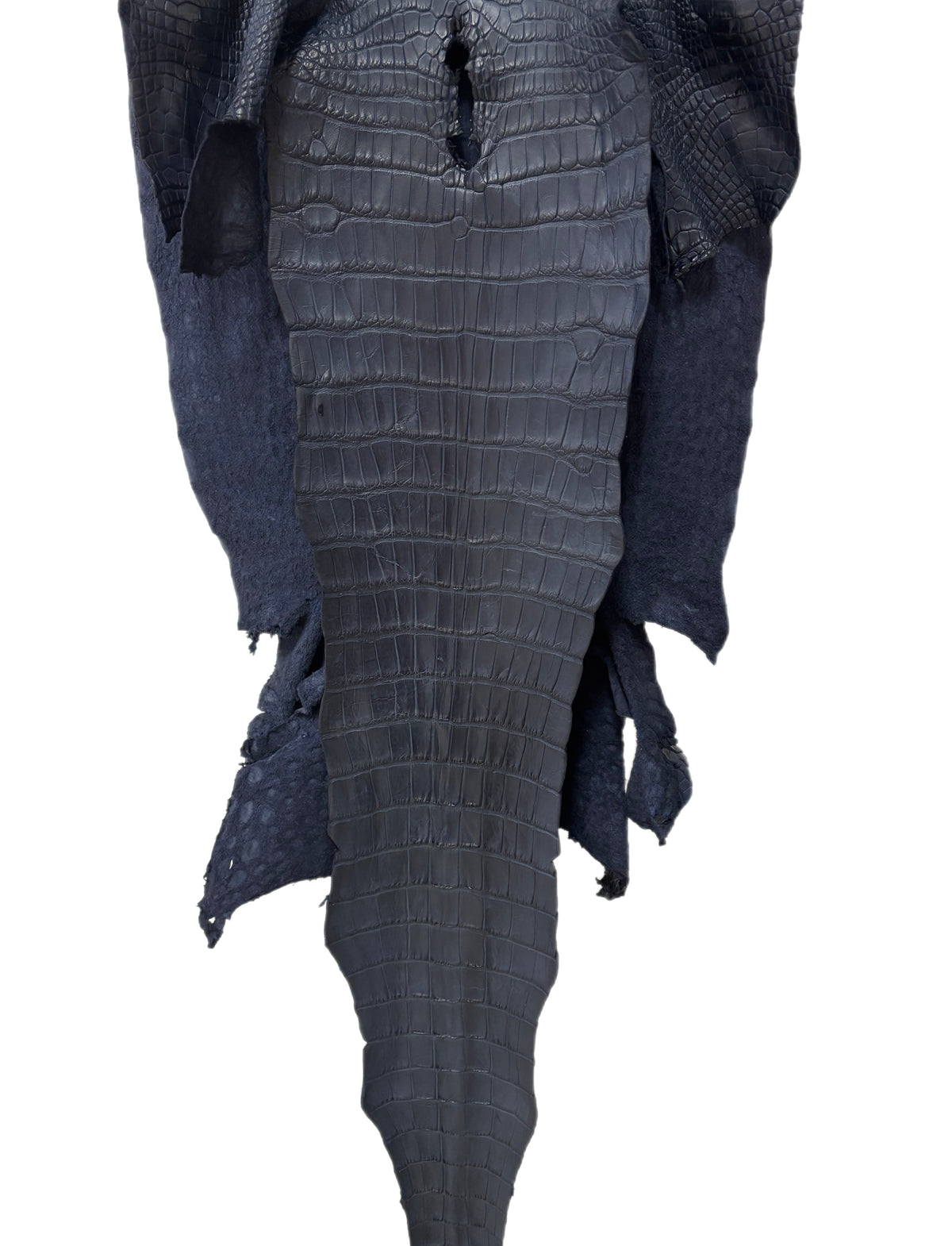 49 cm Grade 2/3 Navy Blue Matte Wild American Alligator Leather - Tag: LA25-0037522
