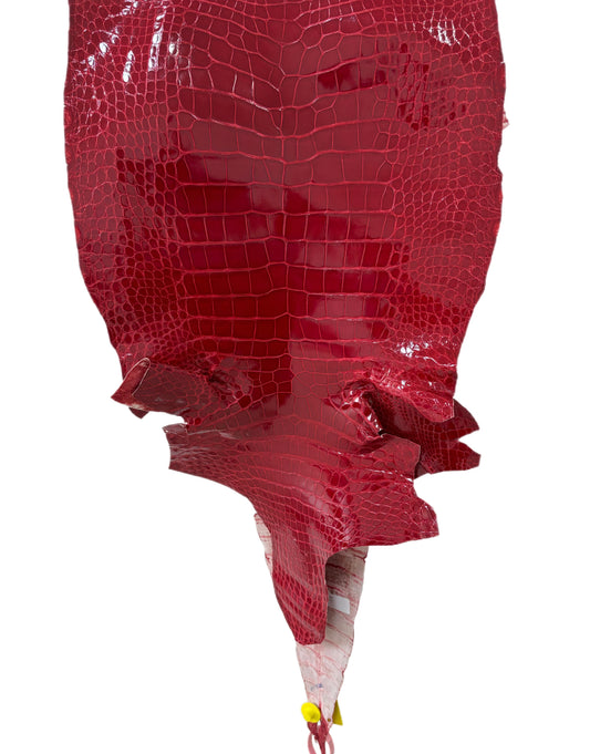 37 cm Grade 1/2 Red Glazed Wild American Alligator Leather - Tag: LA15-0037208