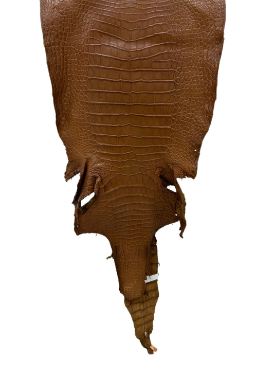 38 cm Grade 2/3 Kango Tabac Matte Wild American Alligator Leather - Tag: LA23-0027793