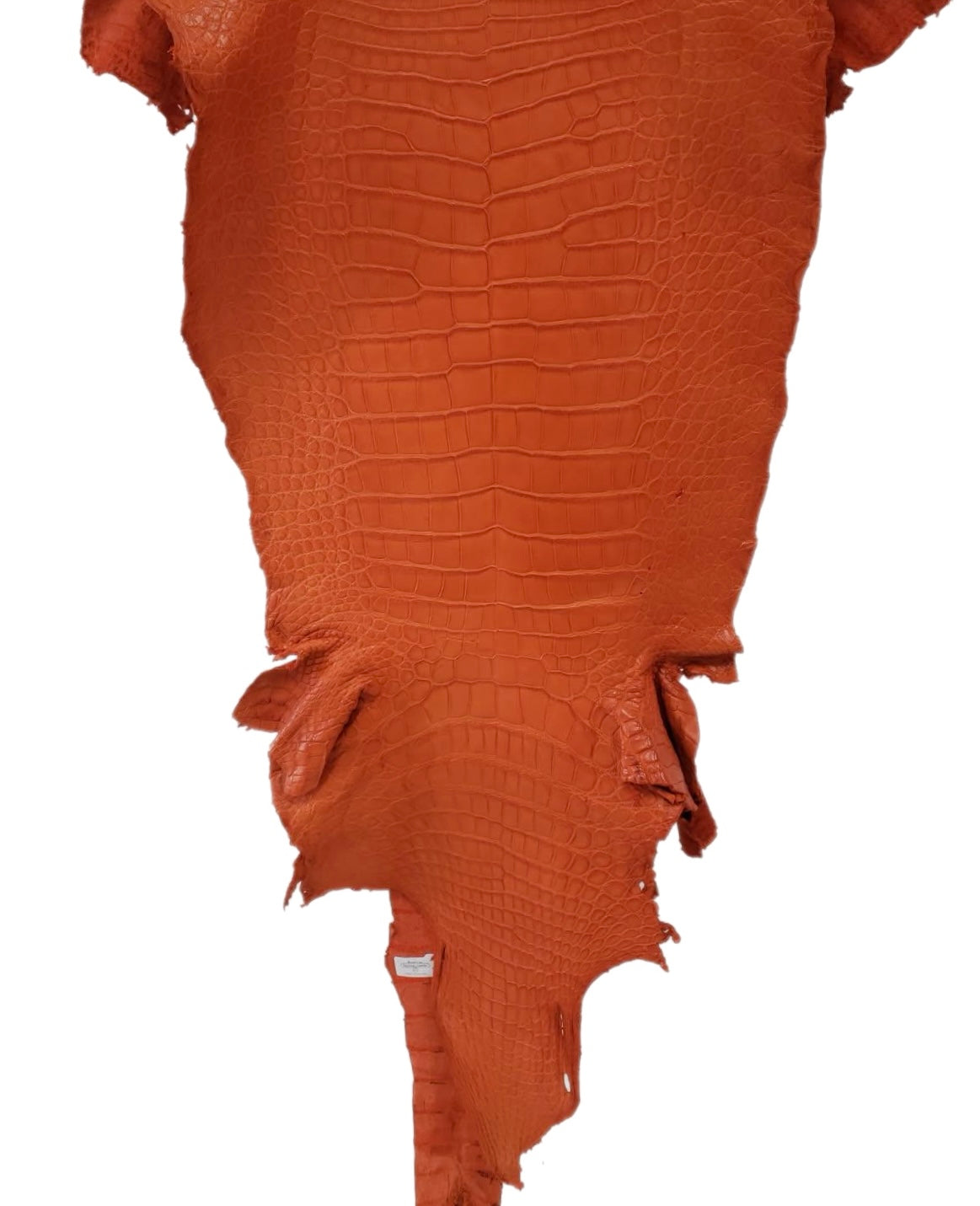 40 cm Grade 3/4 Orange Matte Wild American Alligator Leather - Tag: LA23-0019522