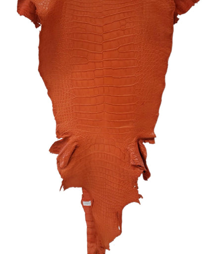 40 cm Grade 3/4 Orange Matte Wild American Alligator Leather - Tag: LA23-0019522