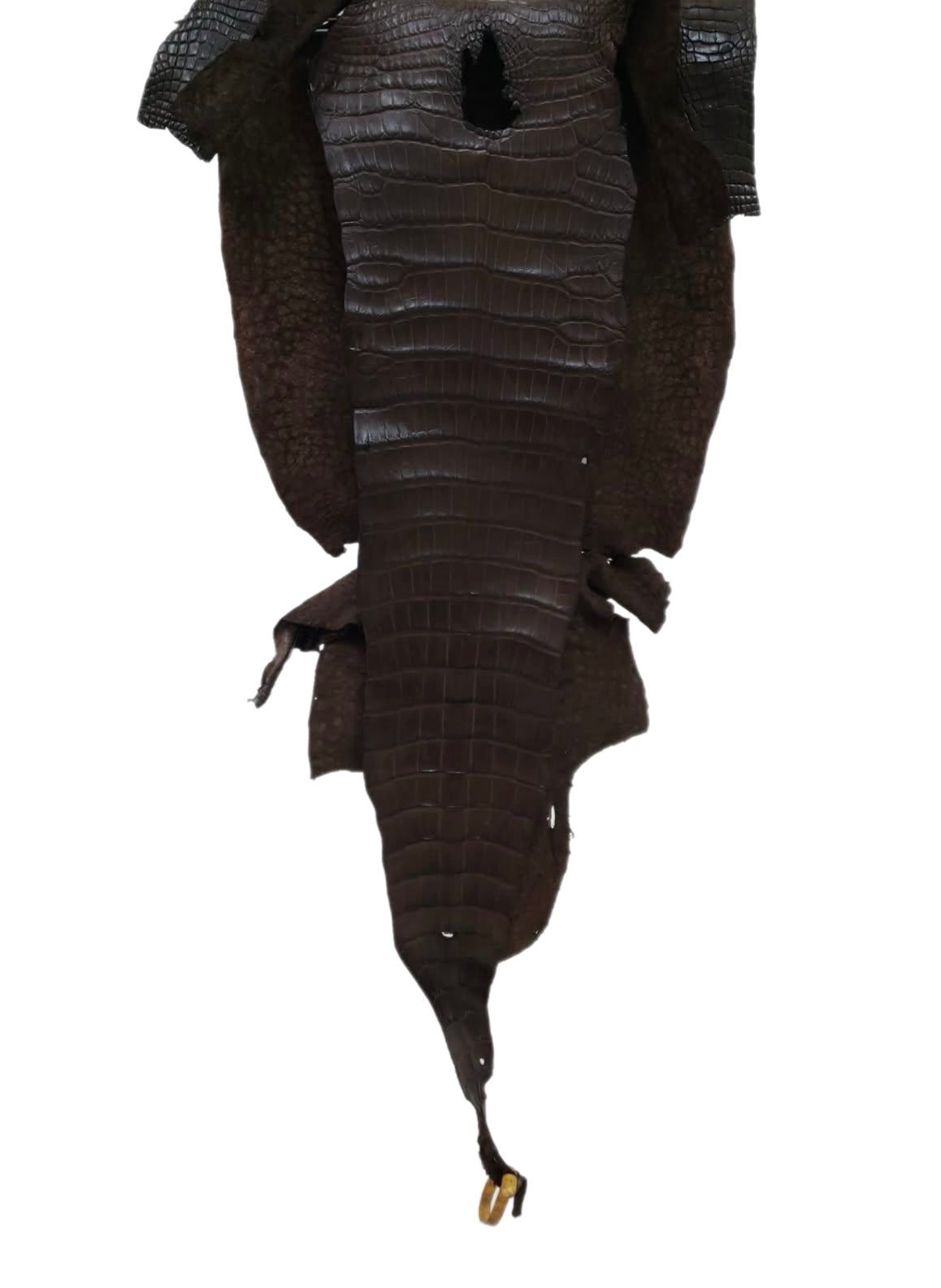 34 cm Grade 3/4 Kralle Brown Matte Wild American Alligator Leather - Tag: LA16-0037826