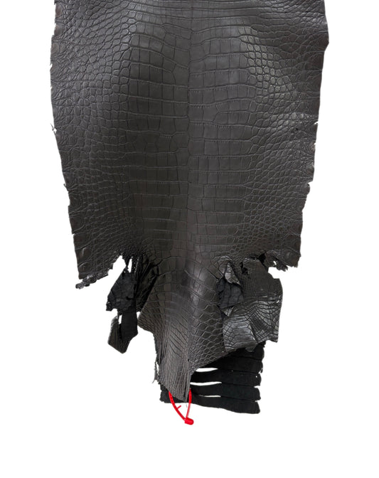 36 cm Grade 2/3 Black Garment Wild American Alligator Leather - Tag: ITCC-0539870