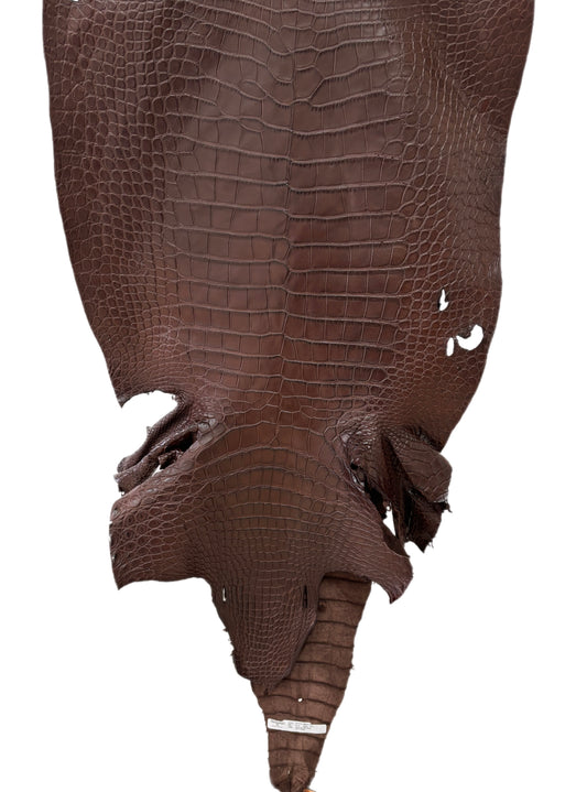 59 cm Grade 3/4 Chocolate Matte Wild American Alligator Leather - Tag: LA23-0050875