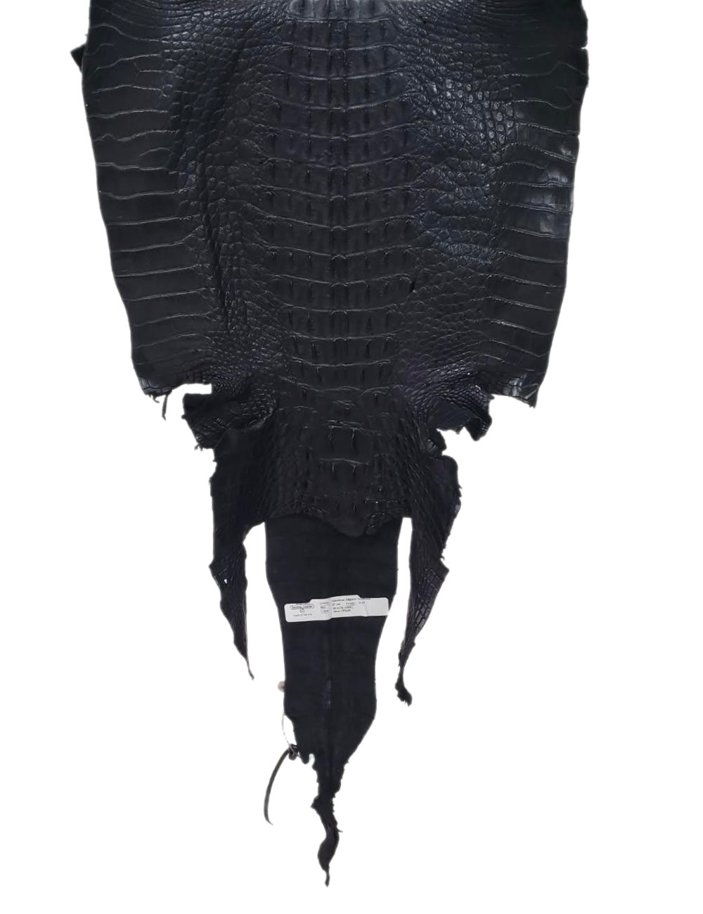 37 cm Grade 3/4 Black Matte Wild American Alligator Hornback Leather - Tag: FL14-0030212