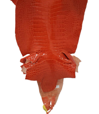 34 cm Grade 1/2 Mandarina Glazed Farm-Raised American Alligator Leather - Tag: GA14-0021768