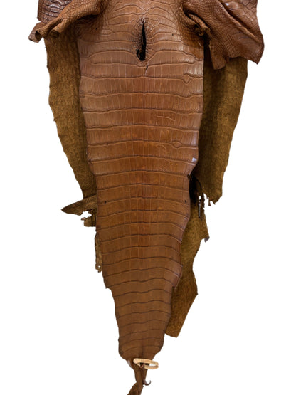 45 cm Grade 3/4 Kango Tabac Matte Wild American Alligator Leather - Tag: LA23-0034762