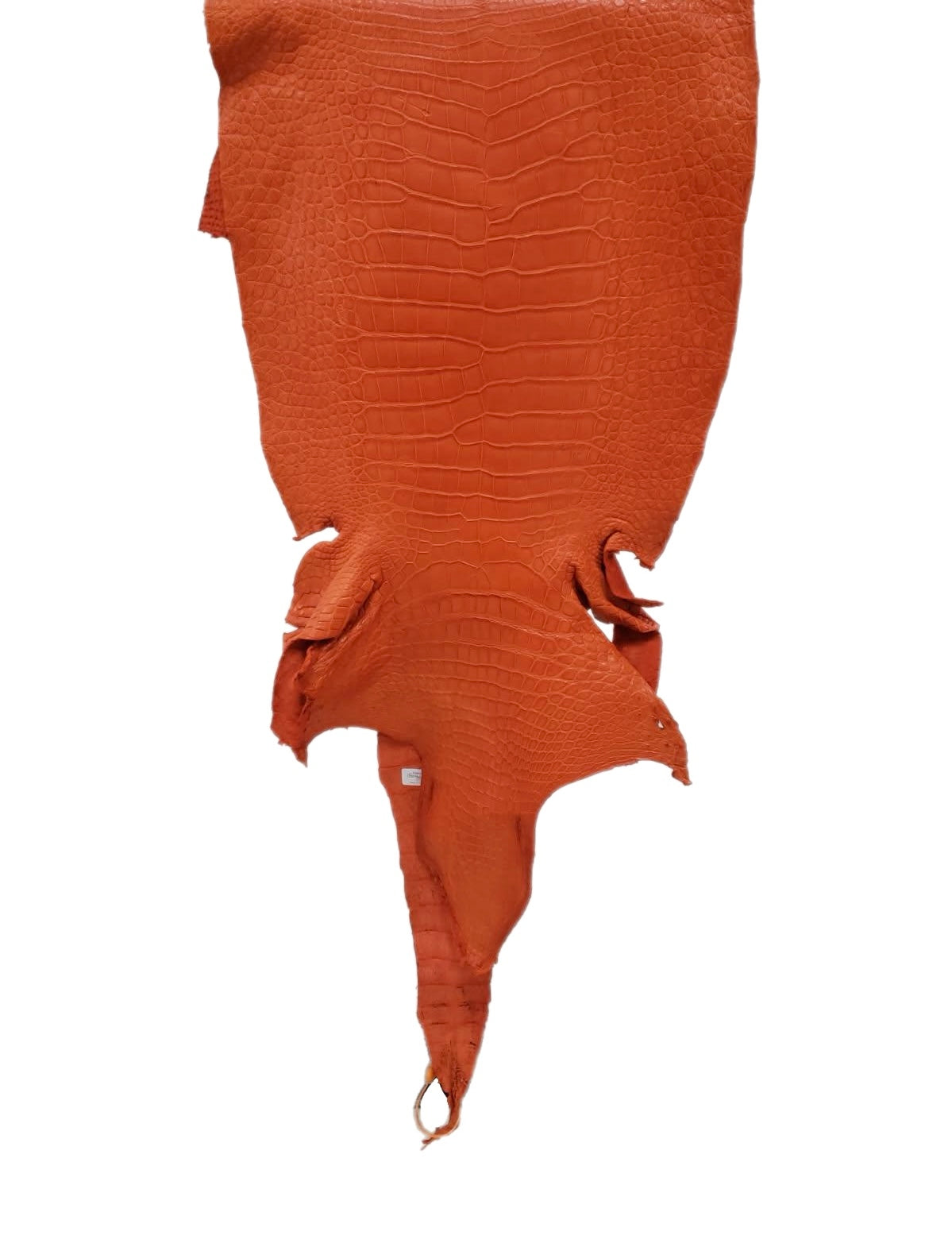 43 cm Grade 2/3 Orange Primavera Matte Wild American Alligator Leather - Tag: LA23-0013837