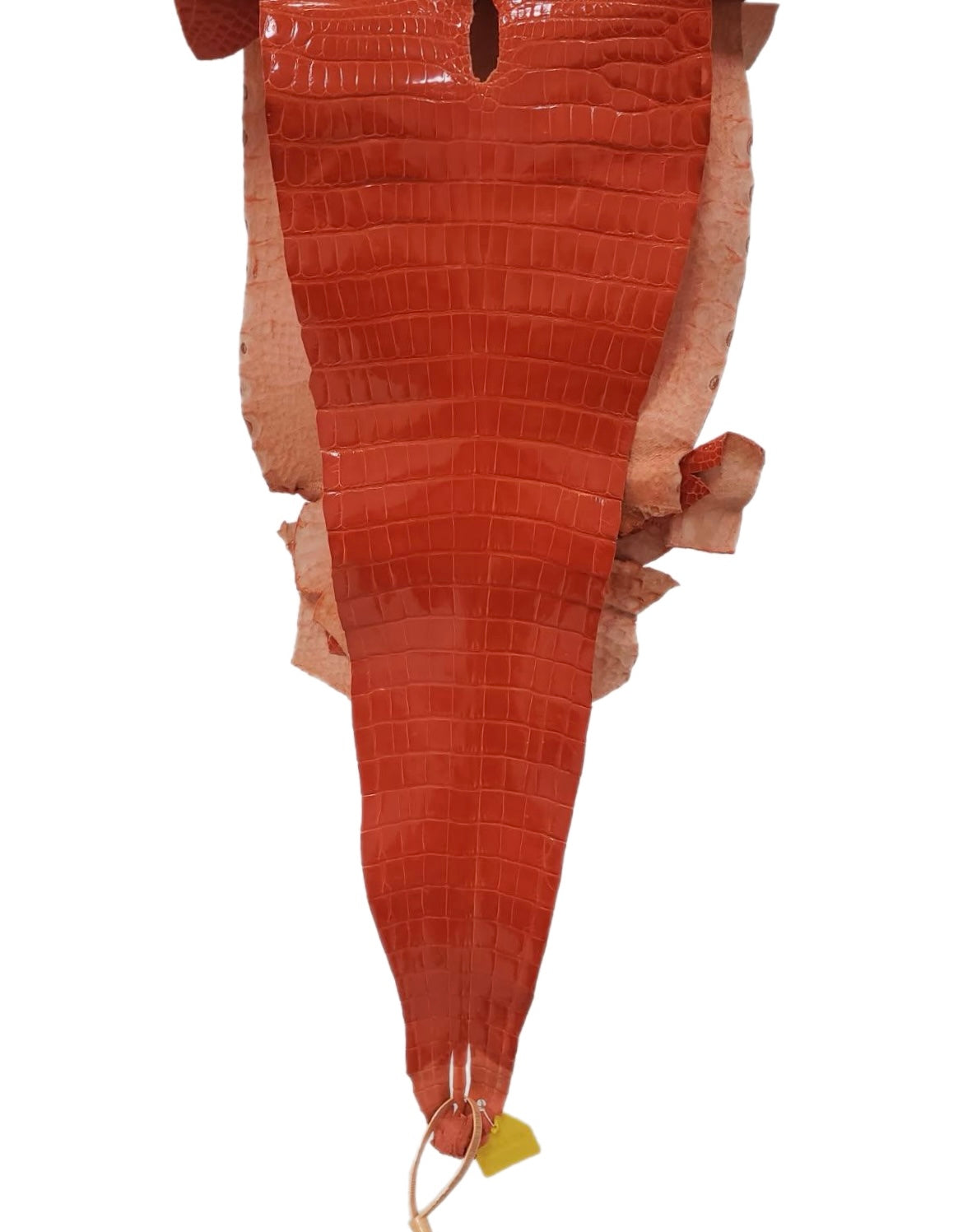 29 cm Grade 1/2 Mandarina Glazed Farm-Raised American Alligator Leather - Tag: GA15-0047738