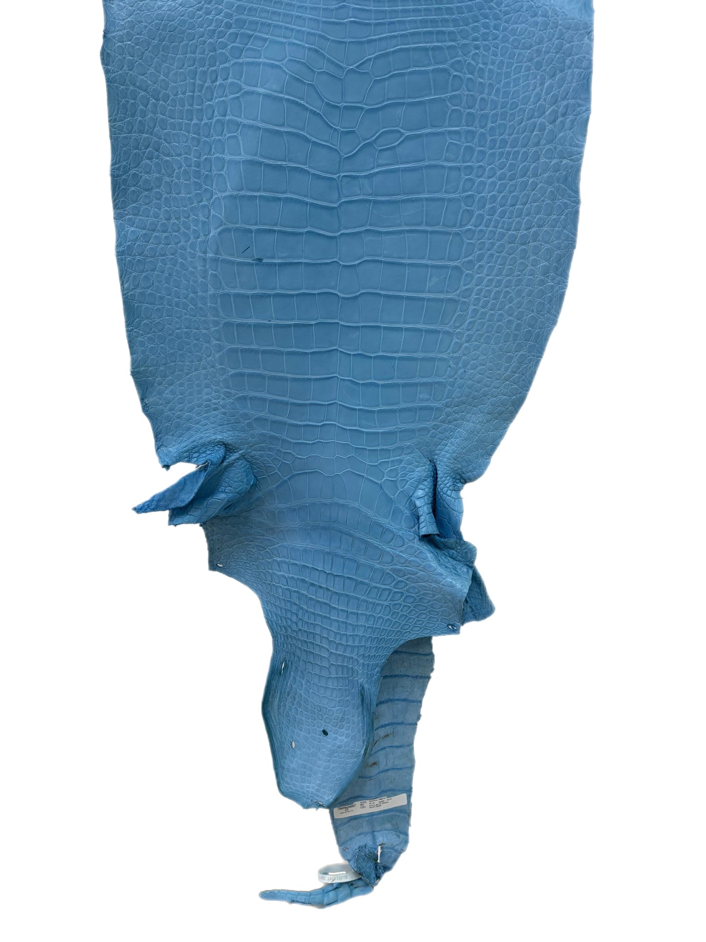 45 cm Grade 3/4 Sky Blue Matte Wild American Alligator Leather - Tag: LA23-0030708