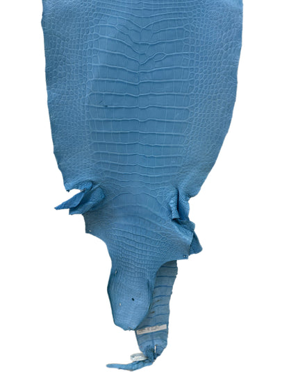 45 cm Grade 3/4 Sky Blue Matte Wild American Alligator Leather - Tag: LA23-0030708