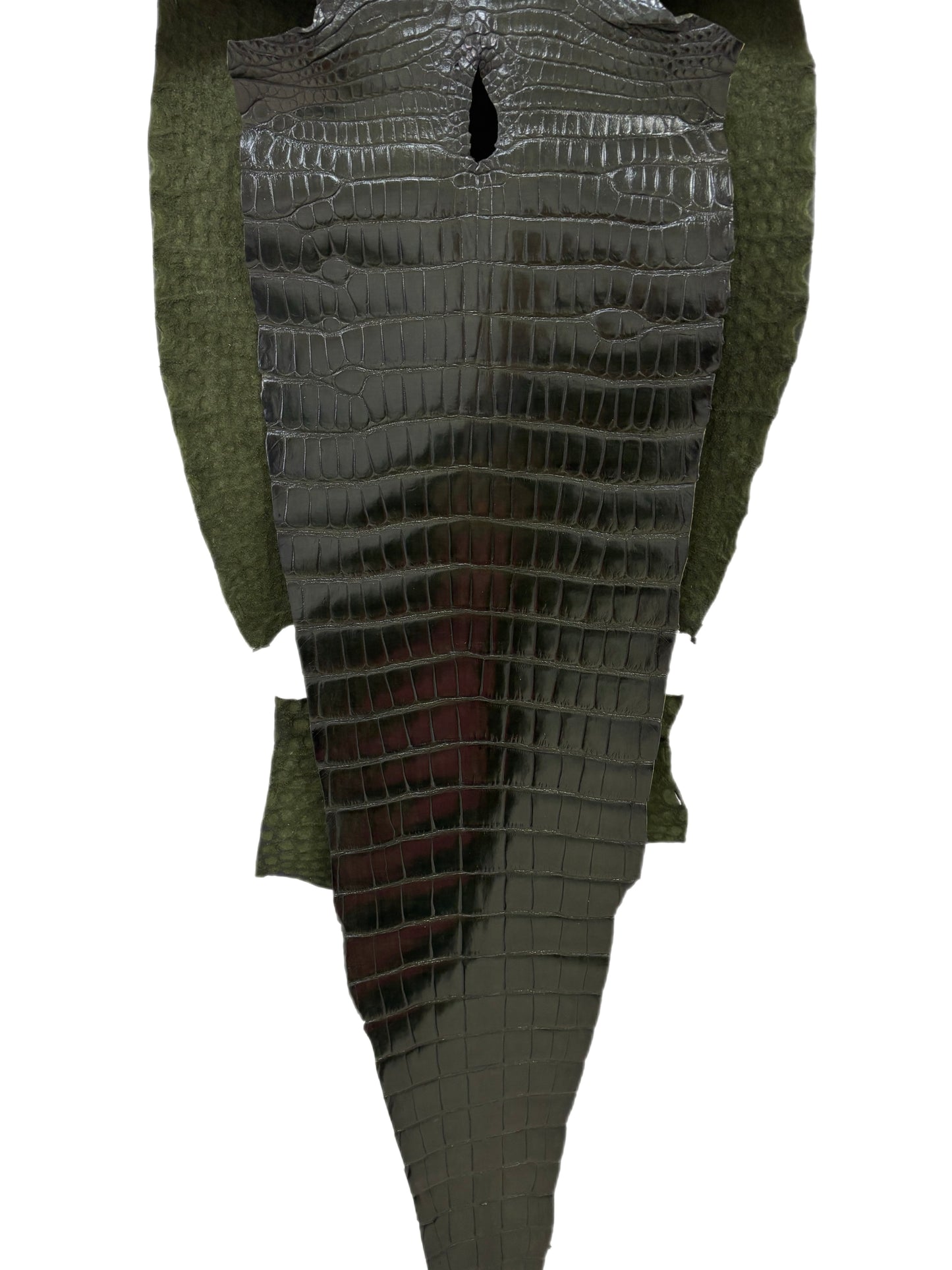 36 cm Grade 1/2 Racing Green Millennium Farm-Raised American Alligator Leather - Tag: LA17-0274643