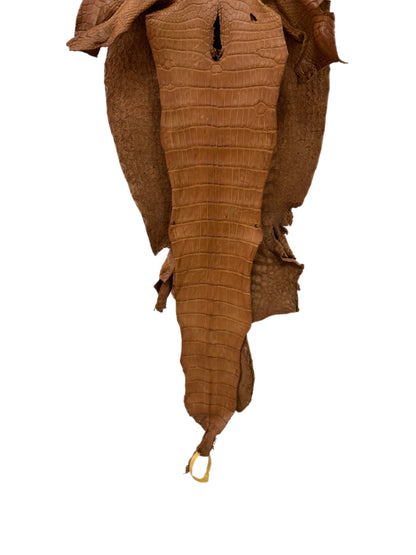 35 cm Grade 2/3 Almond Matte Wild American Alligator Leather - Tag: LA23-0019957