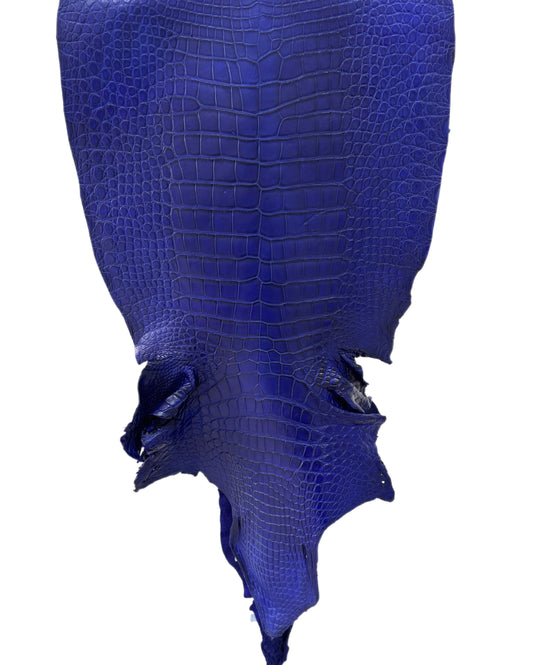 41 cm Grade 3/4 Cobalt Blue Matte Wild American Alligator Leather - Tag: LA23-0003300