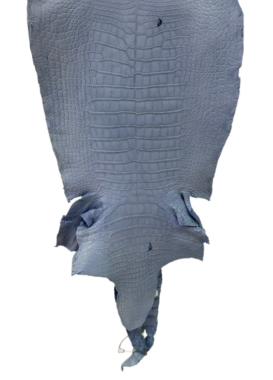 40 cm Grade 3/4 Carolina Blue Matte Wild American Alligator Leather - Tag: LA23-0033943