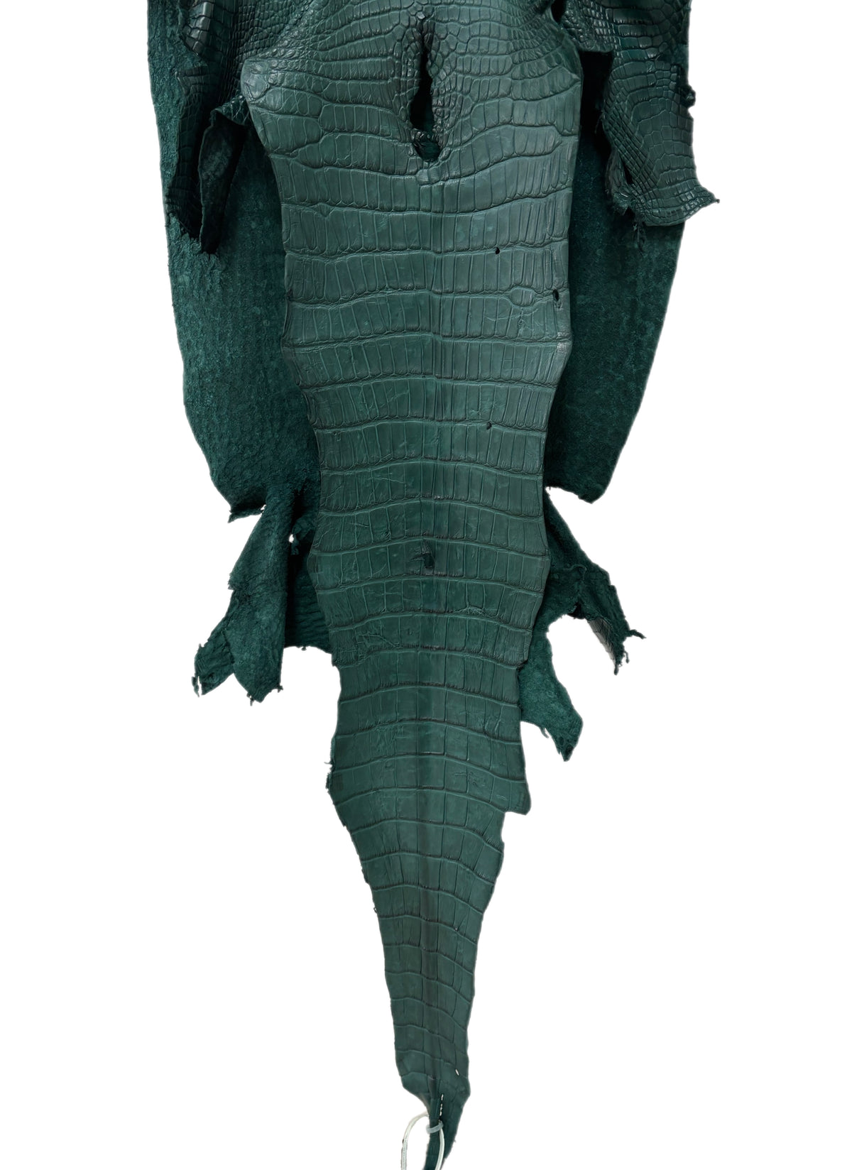 46 cm Grade 3/4 Filigrana Matte Wild American Alligator Leather - Tag: LA23-0015939