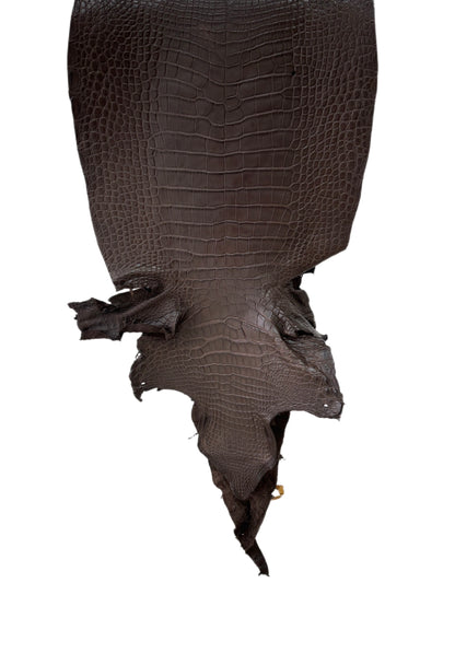 40 cm Grade 3/4 Chocolate Matte Wild American Alligator Leather - Tag: LA23-0024575