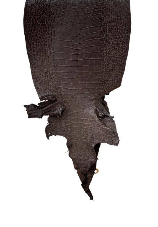 40 cm Grade 3/4 Chocolate Matte Wild American Alligator Leather - Tag: LA23-0024575