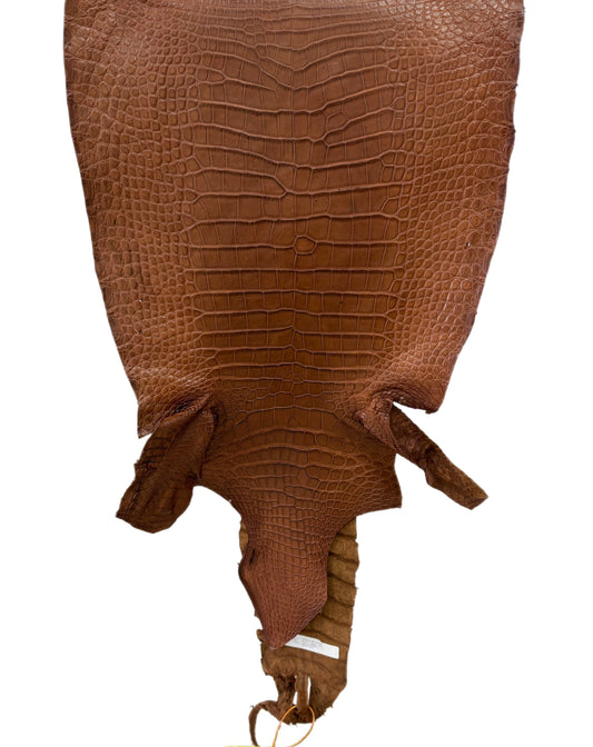 41 cm Grade 4/5 Cigar Matte Wild American Alligator Leather - Tag: LA22-0004107
