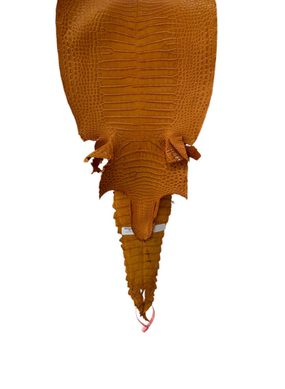 27 cm Grade 1/2 Buttercup Matte Farm-Raised American Alligator Leather - Tag: FL21-0024603
