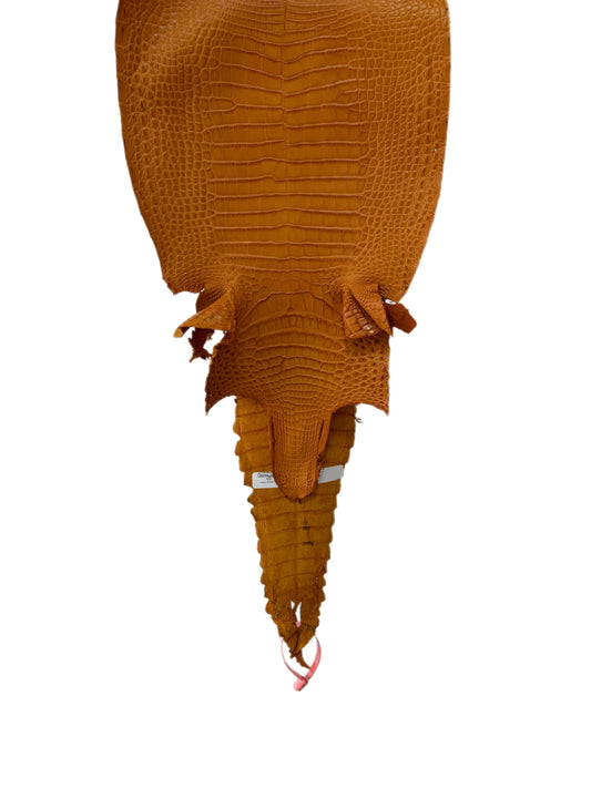27 cm Grade 1/2 Buttercup Matte Farm-Raised American Alligator Leather - Tag: FL21-0024603